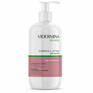 Vidermina - Clx - Clx detergente con dispenser 500 ml